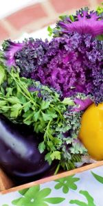 Basket,Food,Vegetables,Greens