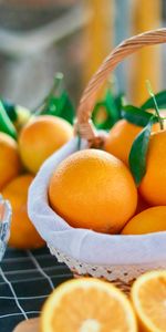 Basket,Fruits,Food,Oranges,Citrus