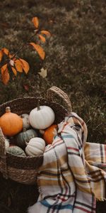 Basket,Plaid,Autumn,Food,Harvest,Pumpkin