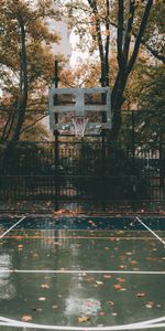 Basketball Playground,Basket,Platform,Sports,Autumn,Playground,Basketball Court,Basketball