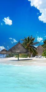 Beach,Landscape,Sky,Sea,Palms