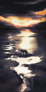 Bear,Dusk,Polar Bear,Twilight,Wildlife,Art