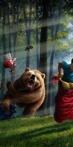 Bears,Imágenes,Divertido