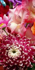 Beauty,Bouquet,Bright,Flowers