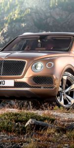 Bentayga,Тачки (Cars),Коричневый,Бэнтли (Bentley),Вид Сбоку