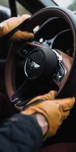 Bentley,Rudder,Gloves,Steering Wheel,Hands,Cars,Car