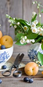 Myrtilles,Jasmin,Abricots,Baies,Fruits,Nourriture