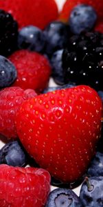 Berries,Food,Strawberry,Bilberries,Fruits