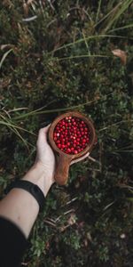 Berries,Hand,Miscellanea,Miscellaneous,Wood,Mug,Lingonberry,Cowberry,Wooden,Cup