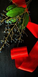 Berries,Miscellanea,Miscellaneous,Branch,Tape