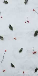 Berries,Miscellanea,Miscellaneous,Clusters,Leaves,Bunches