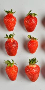 Berries,Ripe,Juicy,Strawberry,Minimalism