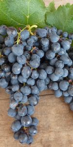 Berries,Sheet,Leaf,Food,Grapes