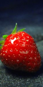 Berries,Strawberry,Plants