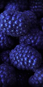 Bilberries,Berries,Background,Food