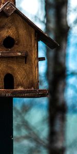 Nichoir,Birdhouse,Animaux,Mésange,Oiseaux