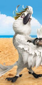 Birds,Parrots,Rio,Beach,Cartoon