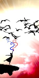 Birds,Sky,Art,Pictures