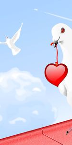 Birds,Sky,Hearts,Pigeons,Pictures