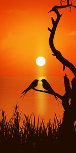 Birds,Sunset,Art,Love