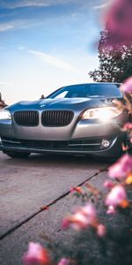 Bmw 535,Cars,Front View,Grey,Car,Machine,Bmw