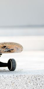 Board,Skateboard,Wheels,Sports