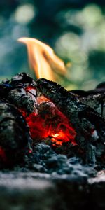 Bonfire,Coals,Miscellaneous,Ash,Miscellanea