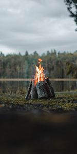 Bonfire,Miscellanea,Miscellaneous,Forest,Logs,Fire,Flame