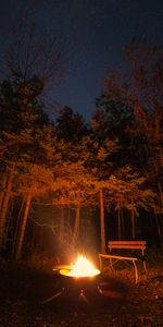 Bonfire,Night,Dark,Forest,Bench