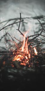 Bonfire,Sparks,Blur,Smooth,Branches,Fire,Miscellanea,Miscellaneous