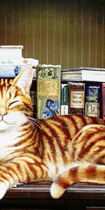 Books,Cats,Animals,Pictures