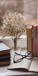 Books,Miscellanea,Window Sill,Spectacles,Windowsill,Miscellaneous,Window,Vase,Flowers,Glasses