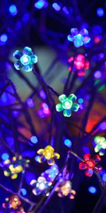 Boquet,Light Bulbs,Illumination,Bokeh,Multicolored,Glare,Motley,Lighting,Light,Shine,Flowers,Dark,Neon