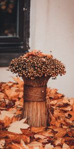 Bouquet,Dry,Bunch,Bundle,Flowers,Autumn,Foliage