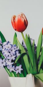 Bouquet,Flowers,Lilac,Tulips,Vase