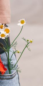 Bouquet,Pocket,Flowers,Belt