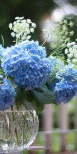 Bouquet,Sharpness,Flowers,Vase,Hydrangea