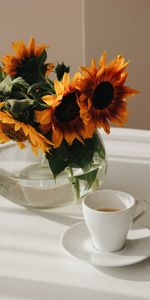 Bouquet,Table,Flowers,Cup,Vase,Sunflowers