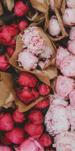 Bouquets,Pink,Peonies,Flowers