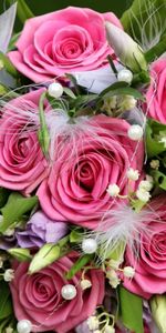 Bouquets,Roses,Plants,Background,Flowers