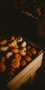 Box,Ripe,Food,Pumpkin,Harvest