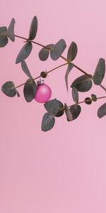 Branch,Ball,Decoration,Minimalism