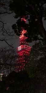 Branches,Backlight,Illumination,Tower,Night,Cities,Tokyo,Japan