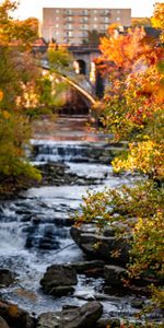 Branches,Nature,Rivers,Stones,Autumn