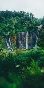 Break,Nature,Trees,Waterfall,Precipice,Flow,Forest