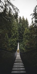 Bridge,Person,Human,Loneliness,Nature,Canada,Vancouver