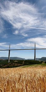 Bridge,Rye,Nature,Field,France,Agriculture,Wheat