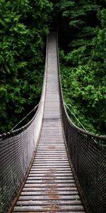 Bridges,Landscape