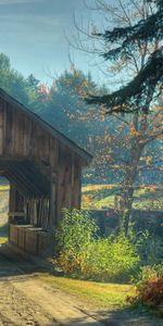 Bridges,Trees,Roads,Landscape