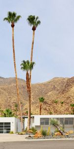 Building,Hills,Sandy,Nature,Palms